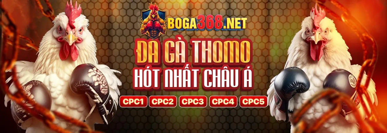 Hướng dẫn nhận thưởng tt88