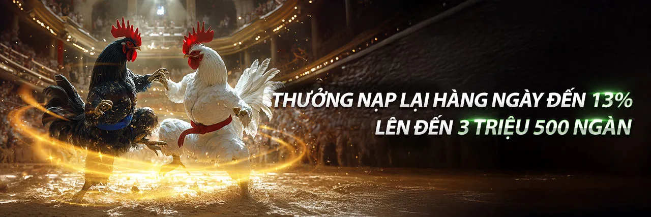 Sân đá gà trực tuyến sôi động tại TT88 Đăng Nhập